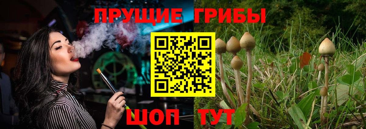 Меф   Полевской  A-PVP СК   ГАШ  Вход с VPN  Каннабис  МДМА 