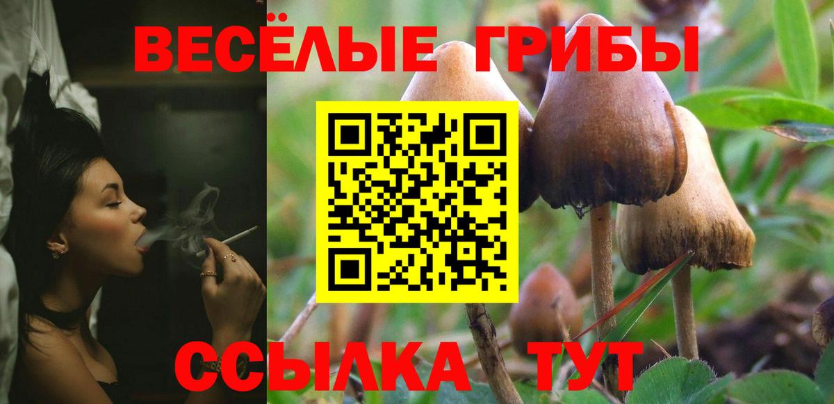 Полевской  Псилоцибиновые грибы Cubensis  что такое   Вход с VPN 