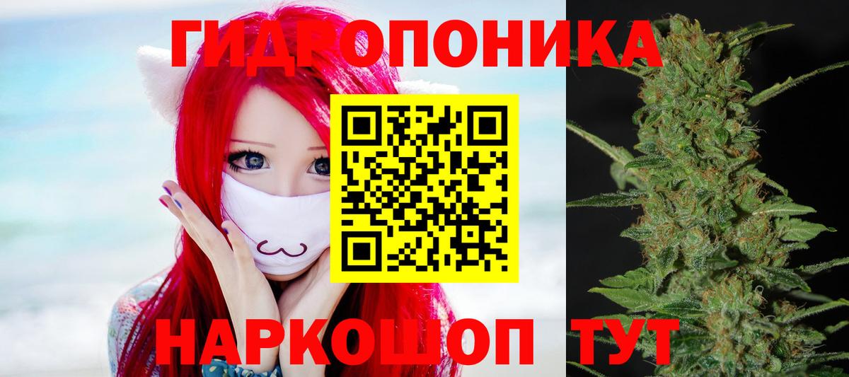 Бошки марихуана семена  Вход с VPN  Бошки Шишки семена  МАРИХУАНА сатива  Полевской  Конопля White Widow 